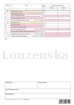 Výkaz ve zkráceném rozsahu A4 1062 OPTYS