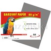 Barevný papír A4 80g/100l šedý