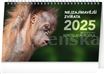 Kal. Nejzajímavější zvířata stolní PRESCO 2025