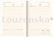 Diář denní A5 Vellum oranžový PRESCO 2025