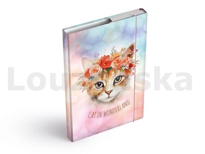 Box A5 školní s gumičkou Cat MFP