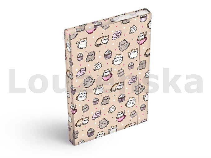 Box A5 školní s gumičkou Kawaii MFP
