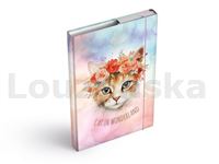 Box A4 školní s gumičkou Cat MFP