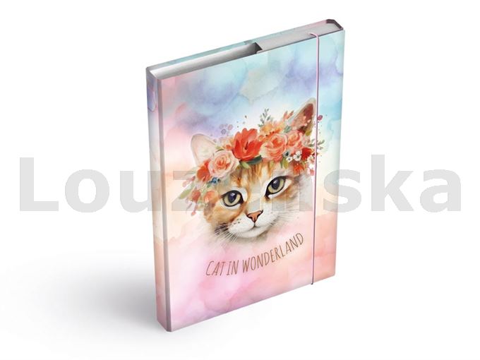 Box A4 školní s gumičkou Cat MFP