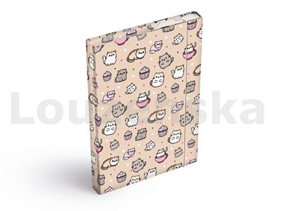 Box A4 školní s gumičkou Kawaii MFP