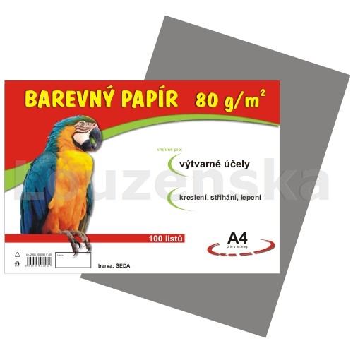 Barevný papír A4 80g/100l šedý