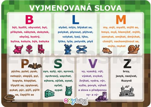 Vyjmmenovaná slova A4 - kluci OXYBAG