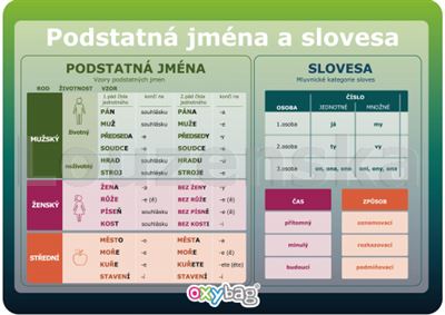 Podstatná jména a slovesa A4 OXYBAG