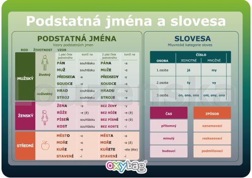 Podstatná jména a slovesa A4 OXYBAG