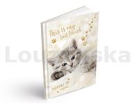 Záznamní kniha A4 100l linka Meow MFP