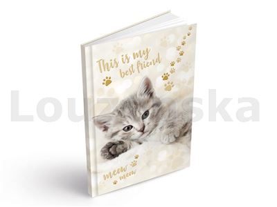Záznamní kniha A4 100l linka Meow MFP