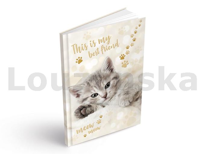 Záznamní kniha A4 100l linka Meow MFP