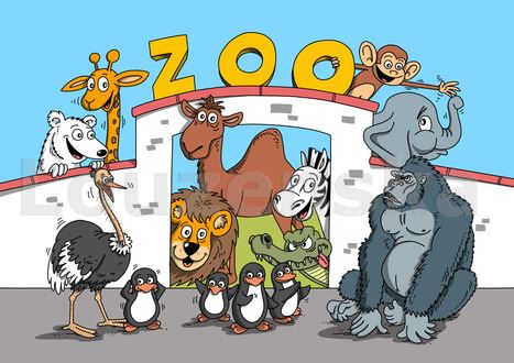 Omalovánky A5 lux ZOO
