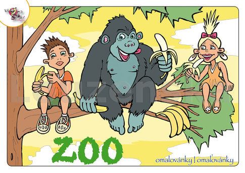 Omalovánky A5 ZOO