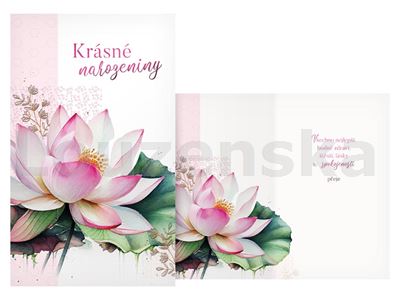 Blahopřání k naroz. MFP Z S18-243