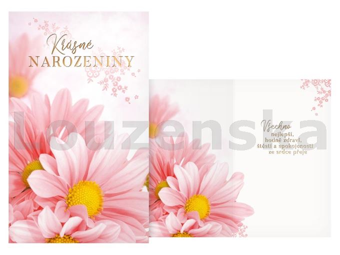 Blahopřání k naroz. MFP Z S18-246