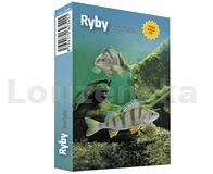 Karty Kvarteto Ryby papír.krabička 