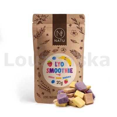 Lyo smoothie mix 20g NATU