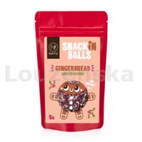SNACKin Balls Gingerbread 65g NATU