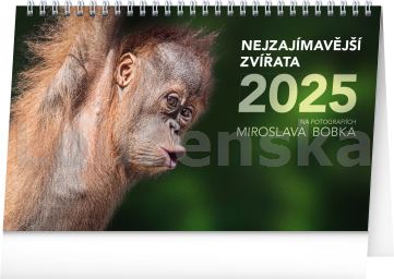 Kal. Nejzajímavější zvířata stolní PRESCO 2025